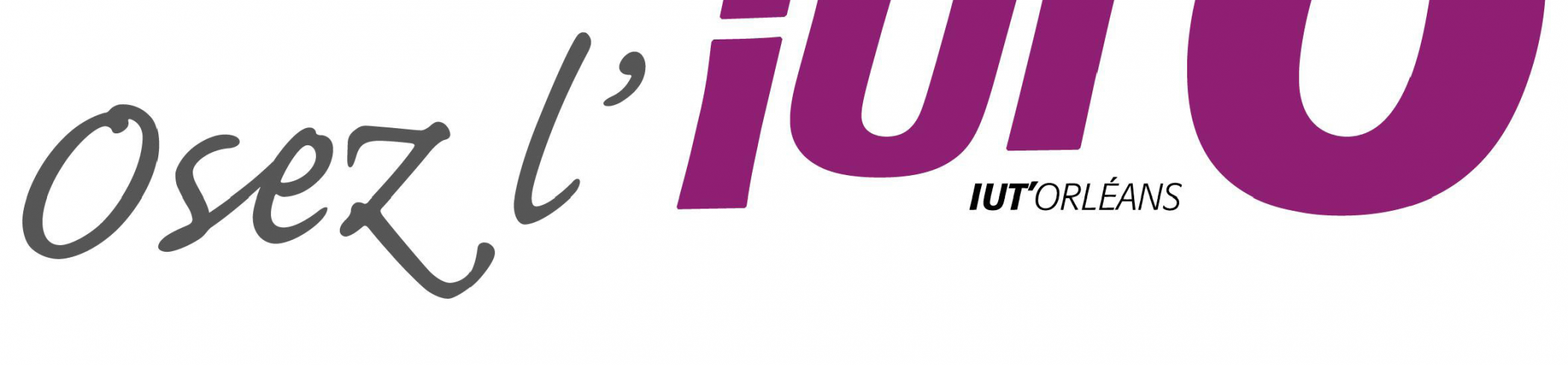 iut-d-orl-ans-orleans-university